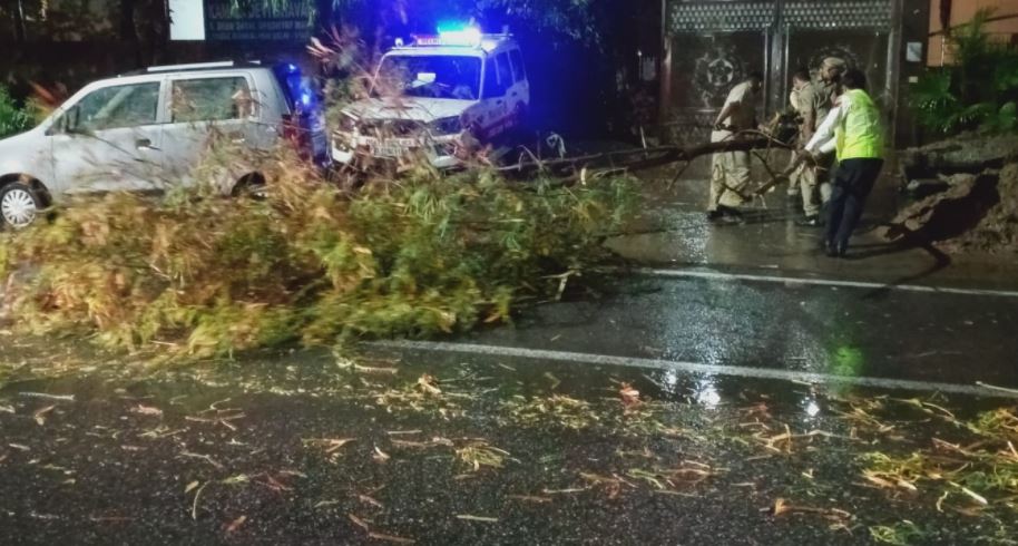 Weather Update: उत्तर भारत में बदला मौसम का मिजाज, Thunderstorm के साथ बारिश से तापमान में गिरावट Weather Update: उत्तर भारत में बदला मौसम का मिजाज, Thunderstorm के साथ बारिश से तापमान में गिरावट