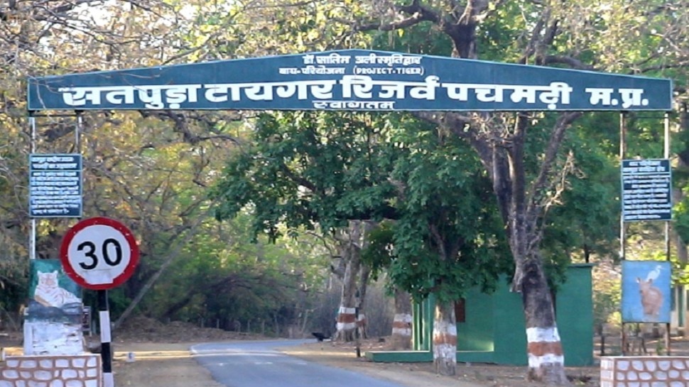 satpura tiger reserve park will be unlocked under these rules Hoshangabad  mpap | आज से MP के पर्यटन स्थल भी होंगे अनलॉकः घूमने के लिए इन नियमों का  करना होगा पालन |