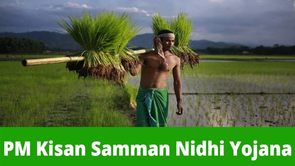 PM Kisan: किसानों को नहीं मिलेंगे 2000 रुपये! अगर पूरी नहीं करते हैं ये शर्तें, लौटानी भी पड़ सकती है रकम
