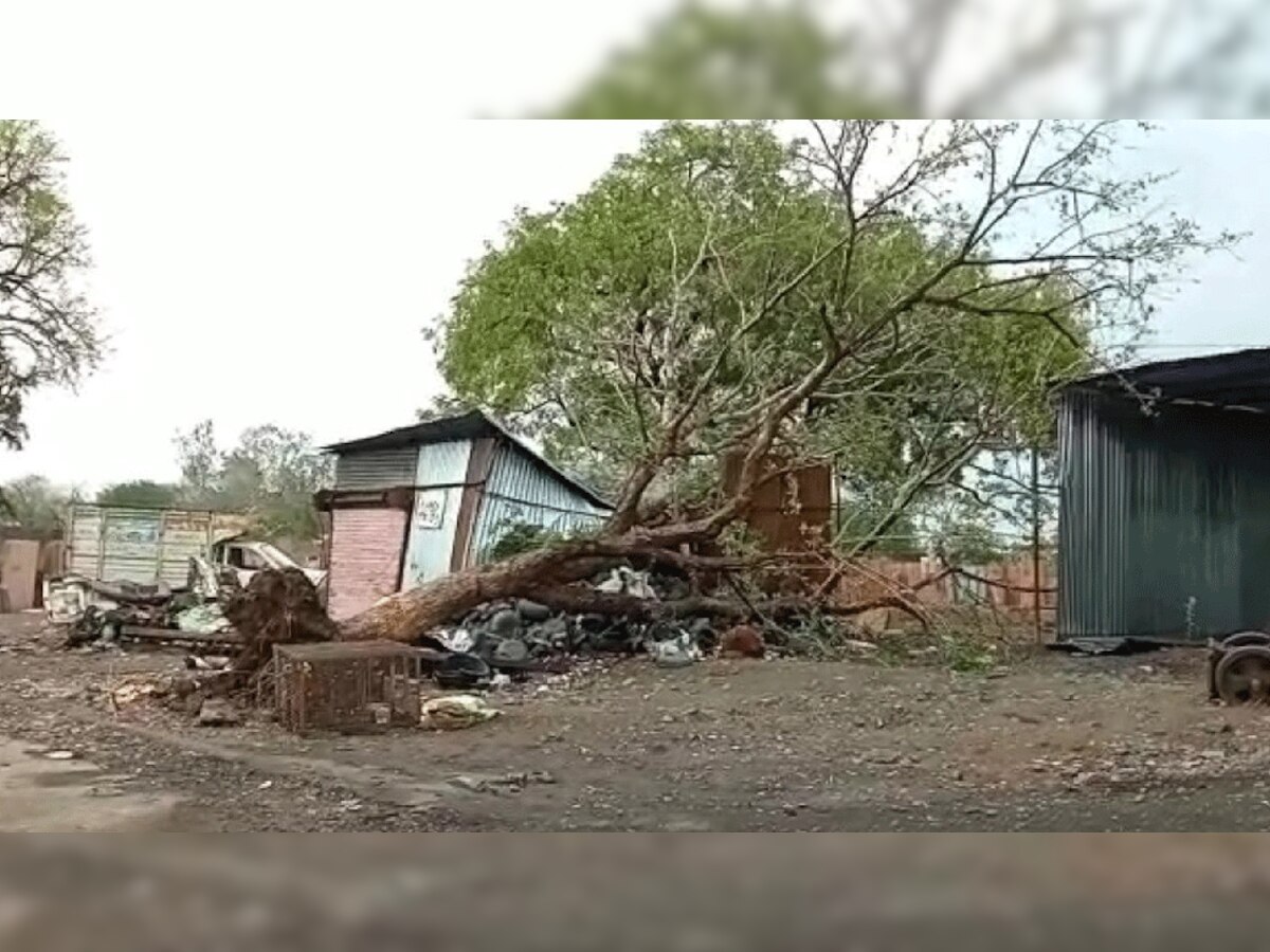 प्रतीकात्मक तस्वीर.