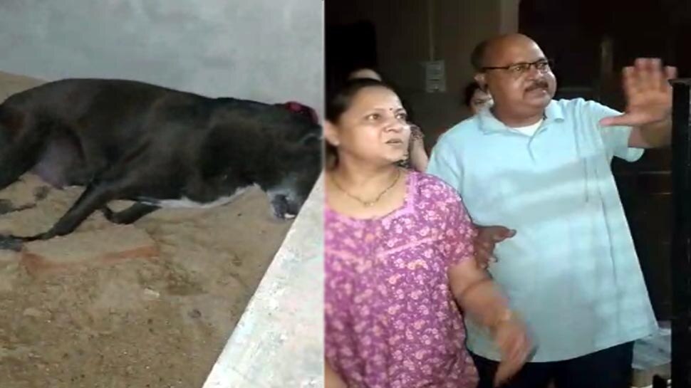 बेजुबान पर अत्याचार: कुत्ते ने पत्नी को काटा तो गुस्साए पति ने मार दी गोली, केस दर्ज
