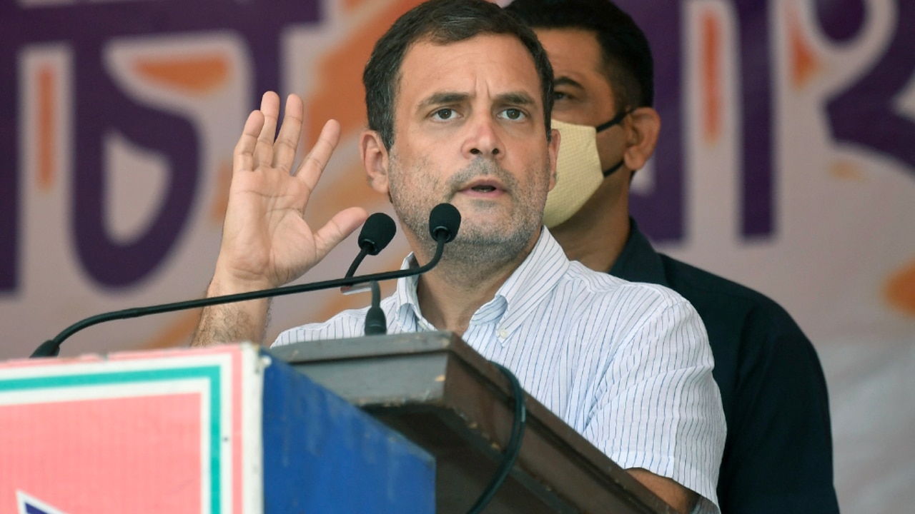 Rahul Gandhi ने किया LGBT कम्युनिटी का समर्थन, इंस्टाग्राम पोस्ट में कहा- LOVE is LOVE