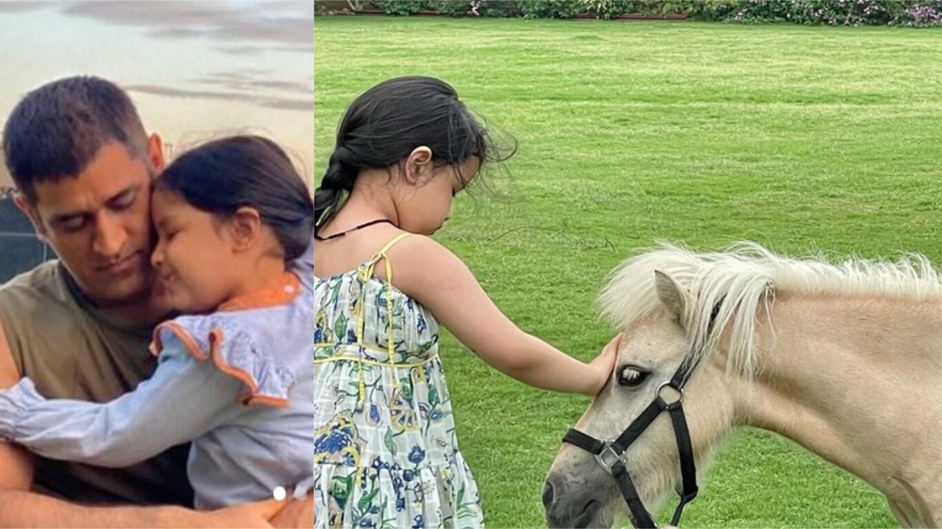 धोनी ने स्कॉटलैंड से मंगवाया ये बेहद खास घोड़ा, कीमत उड़ा देगी होश