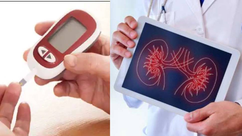 किडनी फेल होने का कारण क्यों बनती है डायबिटीज, जानें मधुमेह और गुर्दे का रिश्ता