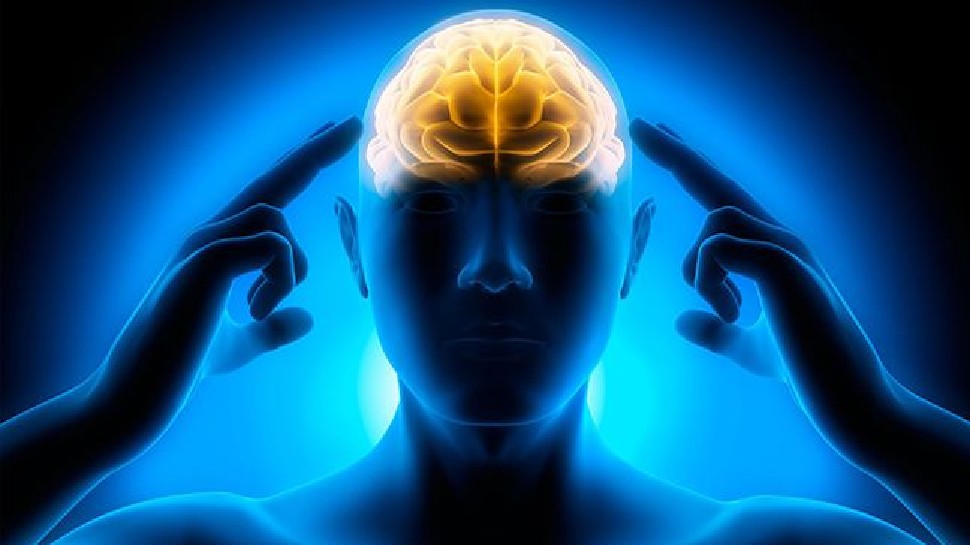 तेज दिमाग और मजबूत याददाश्त के लिए क्या खाना चाहिए? एक्सपर्ट्स ने बताई ये 5 कारगर चीजें