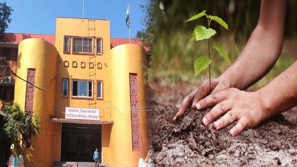 Bhilwara में मनाया गया World Environment Day, कलेक्‍ट्रेट परिसर में लगाए गए 32 पौधे