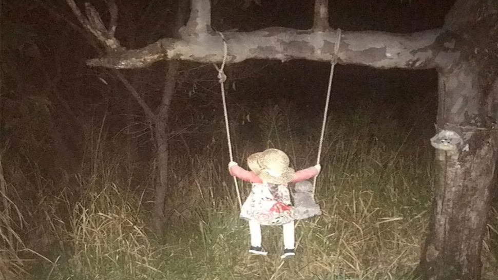 Australia: पेड़ पर झूला झूलती गुड़िया ने छुड़ाए सबके पसीने, पास जाने वालों का बैडलक हो जाता है शुरू