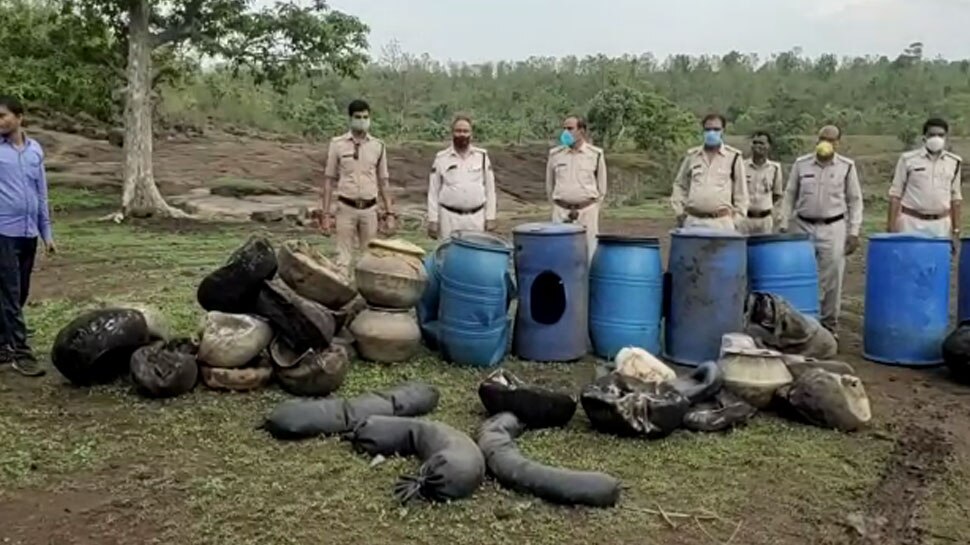 छिंदवाड़ा के सोमाढाना और रंगीनखापा के जंगलों से आती थी नशीली गंध, पुलिस के भी होश उड़े