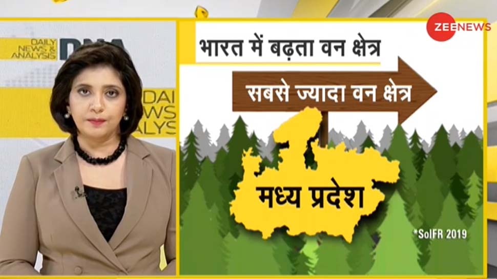 DNA ANALYSIS: पेड़ों के ​प्रति दोहरा मापदंड, पर्यावरण को बचाने को लेकर व्यवस्था में कितनी निष्ठा?