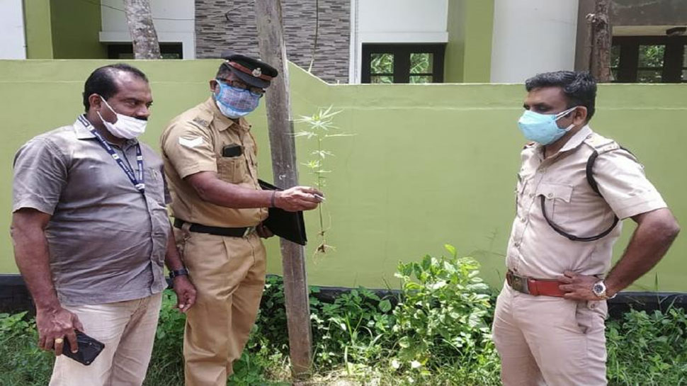Kerala: पर्यावरण दिवस पर हुआ था नशीले पौधों का प्लांटेशन, आरोपियों को तलाश रही पुलिस