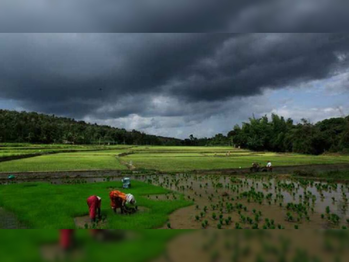 Odisha ମୁହାଁହେଉଛି Monsoon; ପ୍ରବଳ ବର୍ଷା ନେଇ ସତର୍କତା ଜାରି