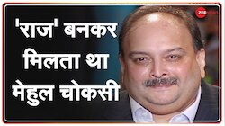 क्या है PNB घोटाले में भगोड़े मेहुल चोकसी के "राज" का सच?