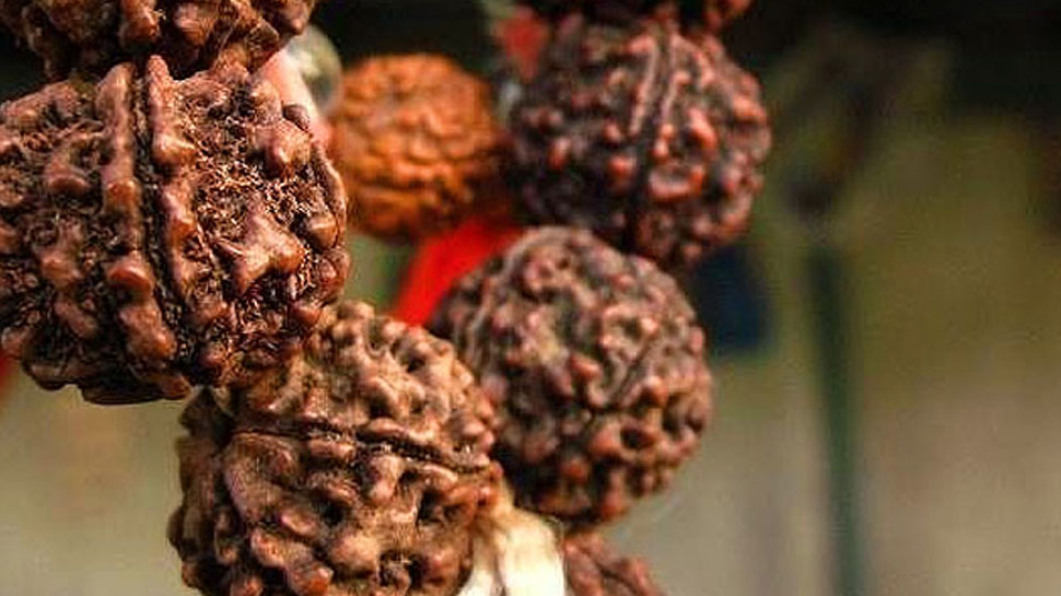 Rudraksha Pendant Beads ORIGINAL Natural SRI LANKA Origin Energy Organic |  eBay