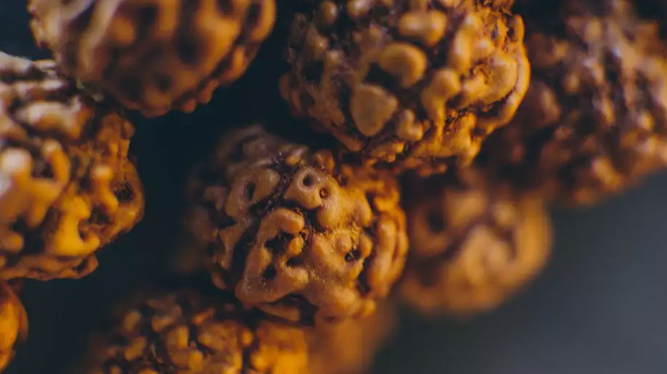 ब्लड प्रेशर Scientific benefits of wearing rudraksha 3