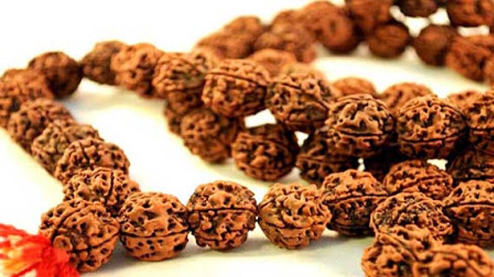 रुद्राक्ष के चुंबकीय लाभ Scientific benefits of wearing rudraksha 5