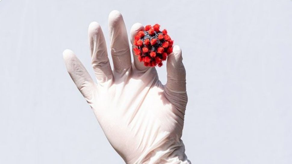 इजराइल के वैज्ञानिकों का शोध The weight of all corona virus in the world