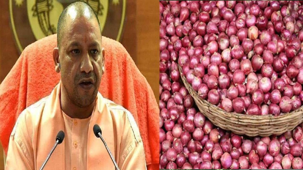 प्याज उत्पादन में यूपी को आत्मनिर्भर बनाएगी सरकार, कई जिलों में प्याज की खेती को दिया जाएगा बढ़ावा प्याज उत्पादन में यूपी को आत्मनिर्भर बनाएगी सरकार, कई जिलों में प्याज की खेती को दिया जाएगा बढ़ावा