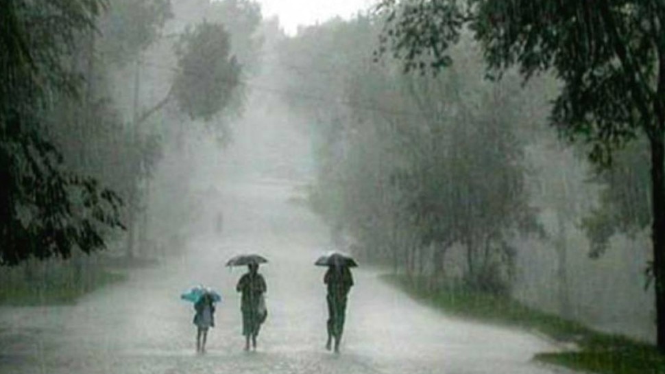 Monsoon Alert in Chhattisgarh these Districts Under High Alert mpas |  छत्तीसगढ़ः Monsoon की दस्तक, 36 घंटों से हो रही बारिश, इन जिलों को रखा गया  Alert पर | Hindi News, MPCG Trending News