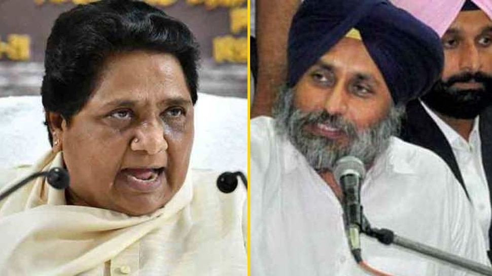 Punjab Election 2022: अकाली दल और BSP में हुआ गठबंधन, इतनी सीटों पर चुनाव लड़ेगी बसपा