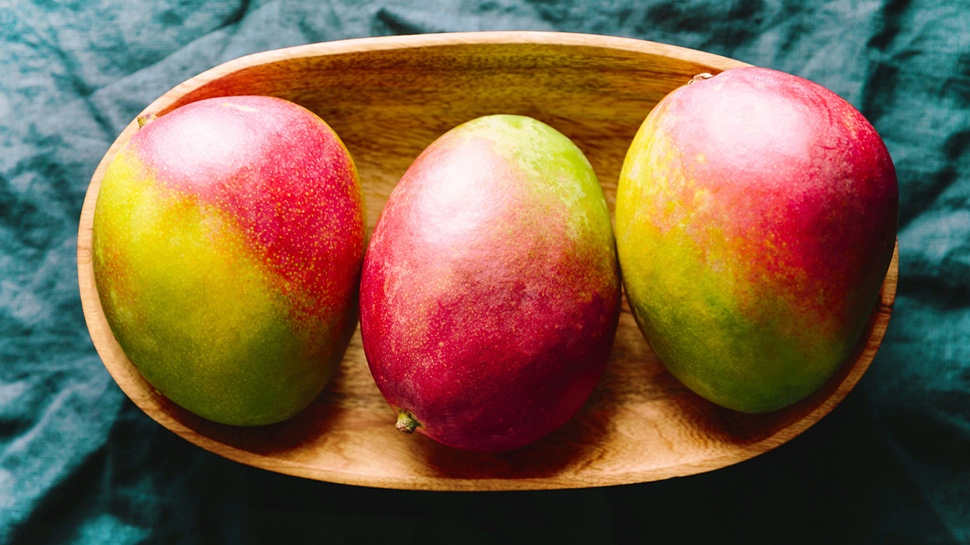 Taiyo no Tamago is the world's most expensive mango, which is not sold, it is only available as a gift | Taiyo no Tamago है दुनिया का सबसे महंगा आम, जो सिर्फ