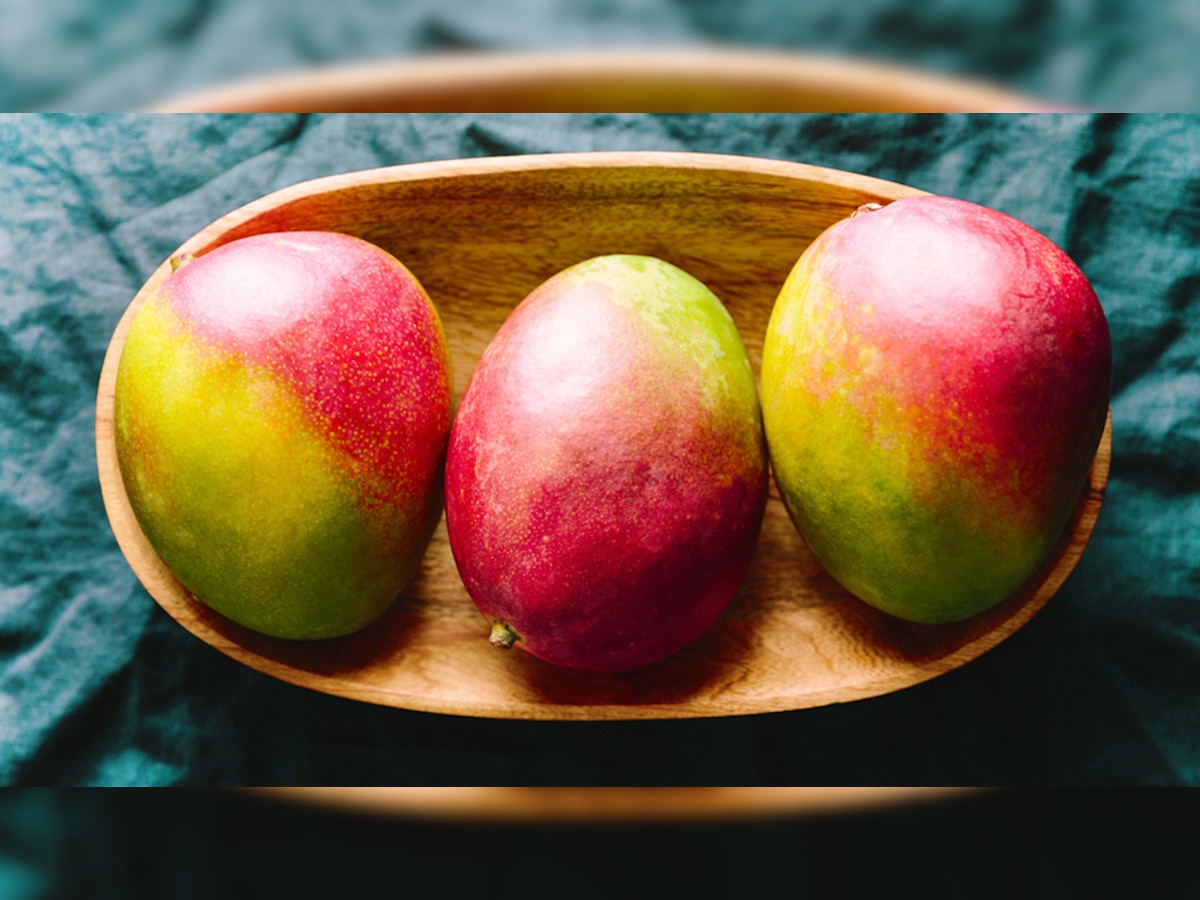 Taiyo no Tamago is the world's most expensive mango, which is not sold, it  is only available as a gift | Taiyo no Tamago है दुनिया का सबसे महंगा आम,  जो सिर्फ