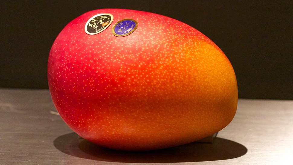 Taiyo no Tamago is the world's most expensive mango, which is not sold