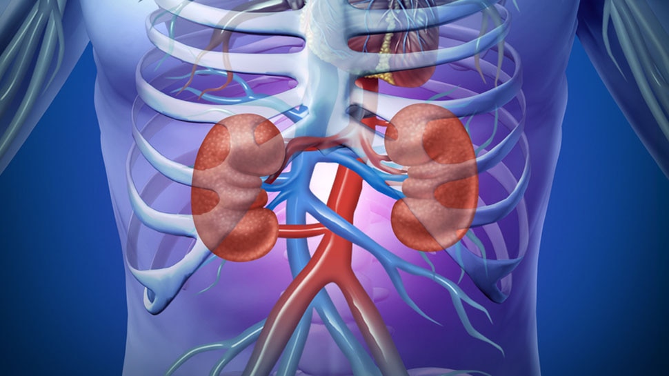 हो सकता है एक्यूट किडनी फेलियर There may be acute kidney failure