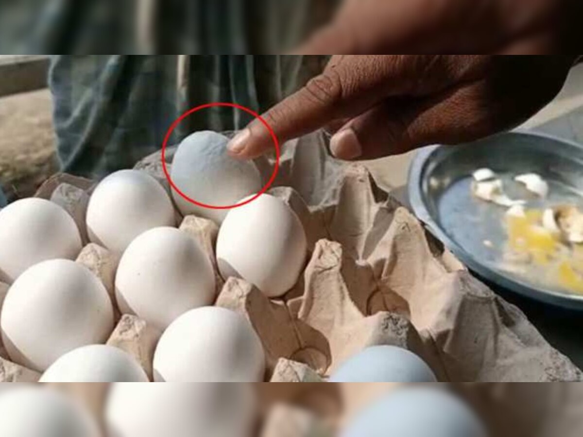 Egg Price Reached In The Sky Egg Sold For Eight Rupees In Up Spup आम आदमी की जेब पर भारी पड़ 