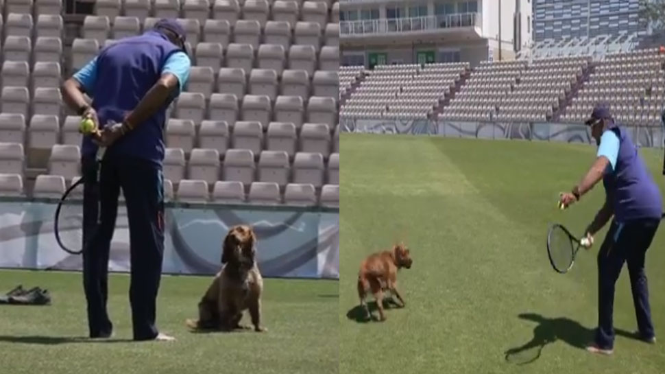 WTC: टीम इंडिया को छोड़ इस डॉगी को क्रिकेट सिखाने लगे कोच Ravi Shastri, देखिए मजेदार Video