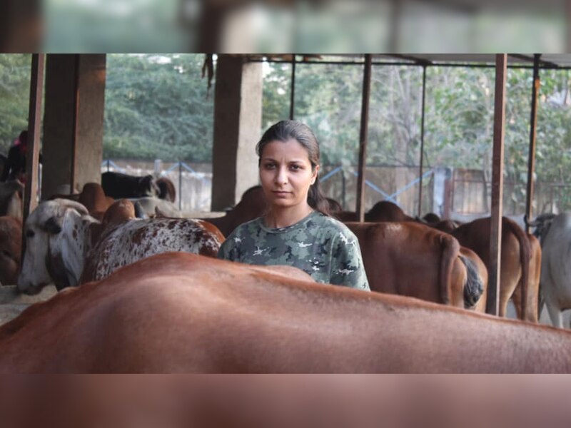 ऑनलाइन बिजनेस शुरू किया