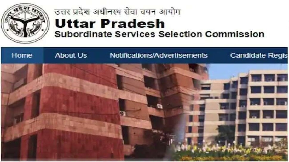 UPSSSC ने जारी किया कृषि प्राविधिक भर्ती परीक्षा 2018 का फाइनल रिजल्ट, 2036 अभ्यर्थी चयनित