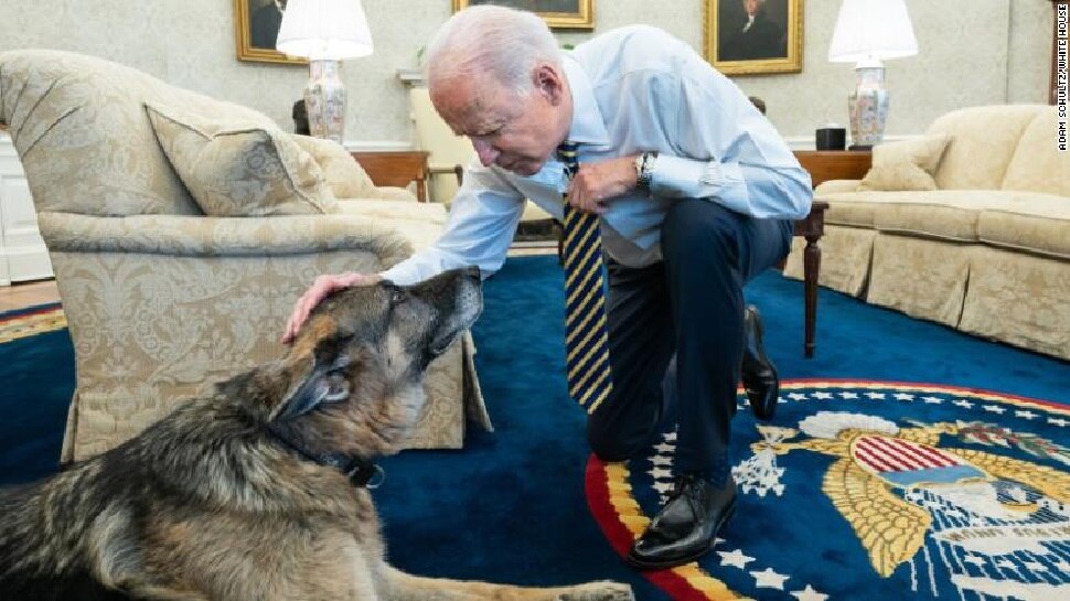 US राष्‍ट्रपति Joe Biden के कुत्ते Champ की मौत, चुनावी कैंपेन का रहा था हिस्‍सा