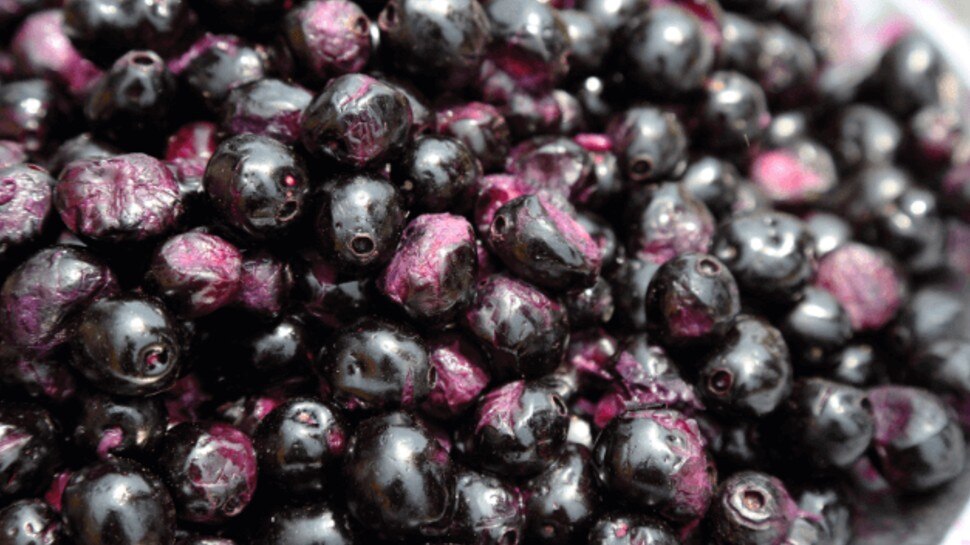 शुगर और पथरी के मरीजों के लिए बेहद फायदेमंद है जामुन की गुठली, लीवर में भी होता है सुधार, बस इस तरह करना होगा सेवन