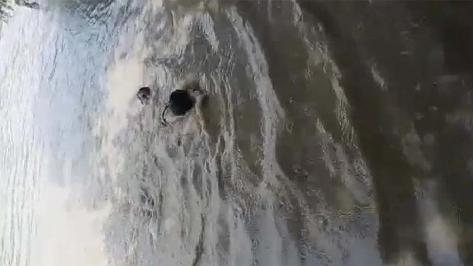 UP POLICE के एक सब इंस्पेक्टर ने डूबते हुए शख्स को बचाने के लिए नदी में लगाई छलांग, देखें VIRAL VIDEO