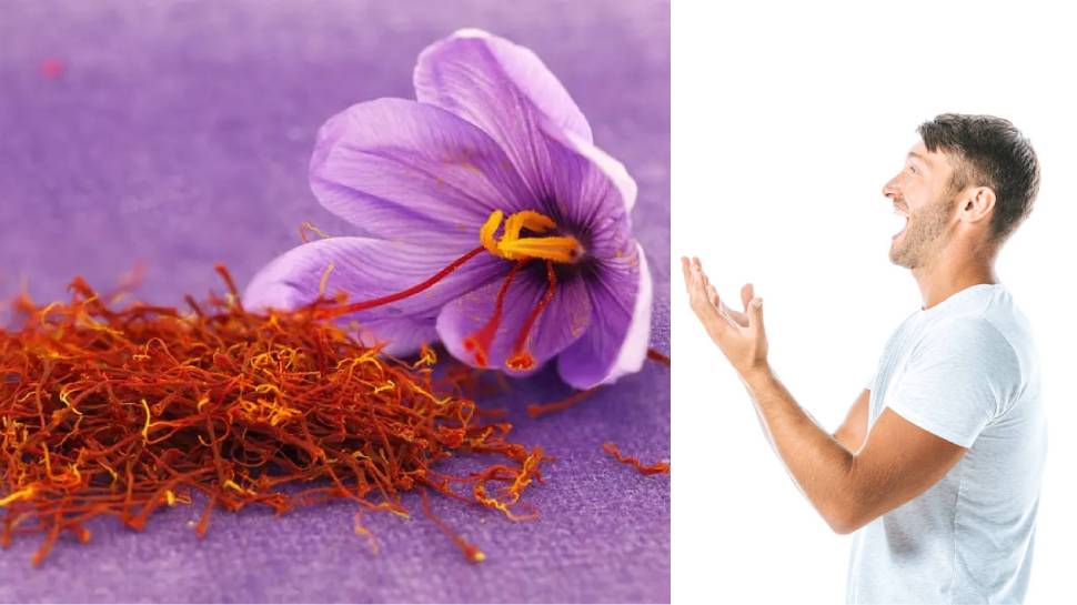 एक चुटकी 'जाफरान का फायदा' तुम क्या जानो रमेश बाबू!, पुरुषों के लिए है गजब की दवा