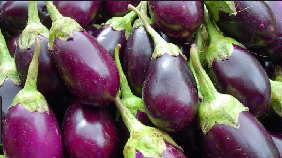 Benefits of eggplant: कई बीमारियों का इलाज है बैंगन, हार्ट को रखता है स्वस्थ्य, जानिए गजब के फायदे