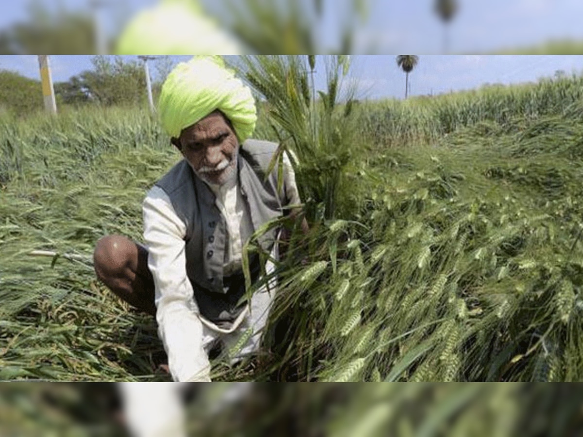 प्रतीकात्मक तस्वीर.