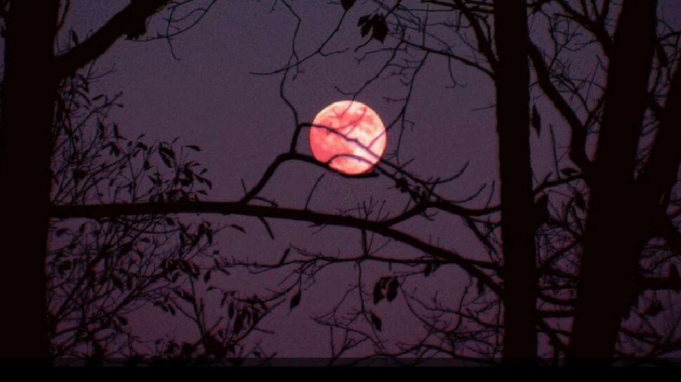 क्या है स्ट्रॉबेरी मून? supermoon