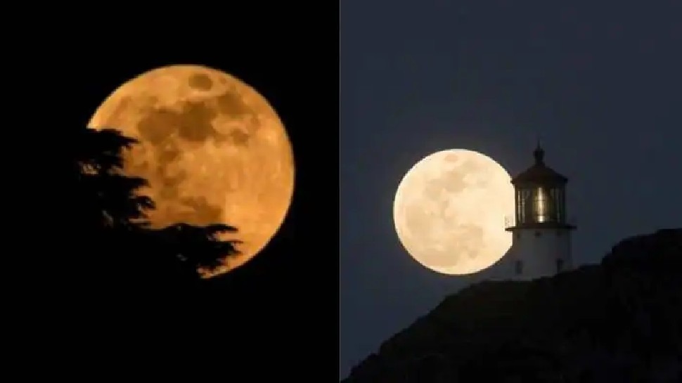 हर नाम का क्या मतलब? Rose Moon 2021