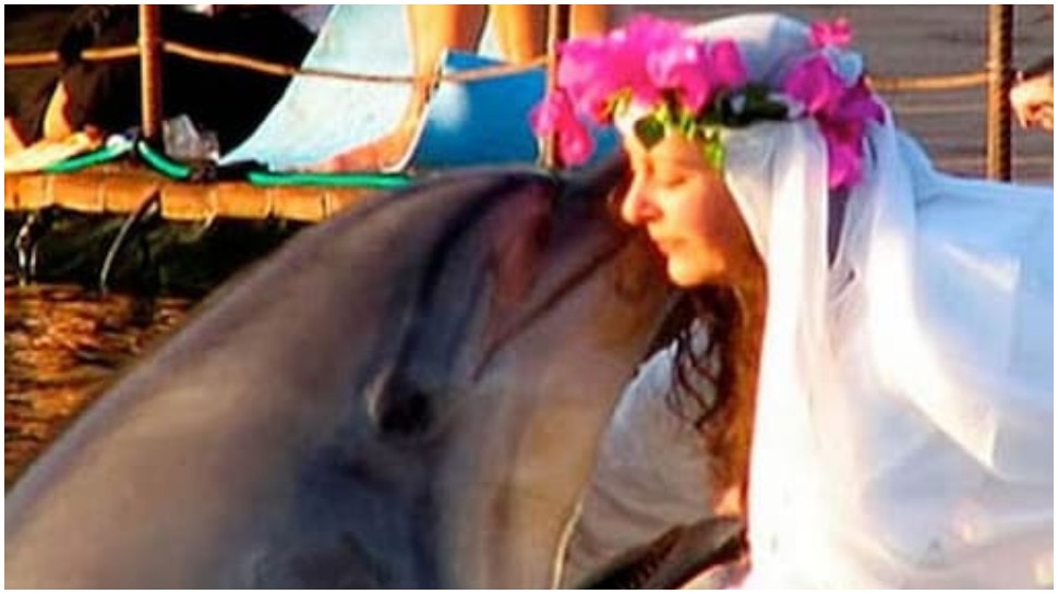 Weird News: ये है बेहद अजीब शादी, महिला ने Dolphin को माना अपना पति