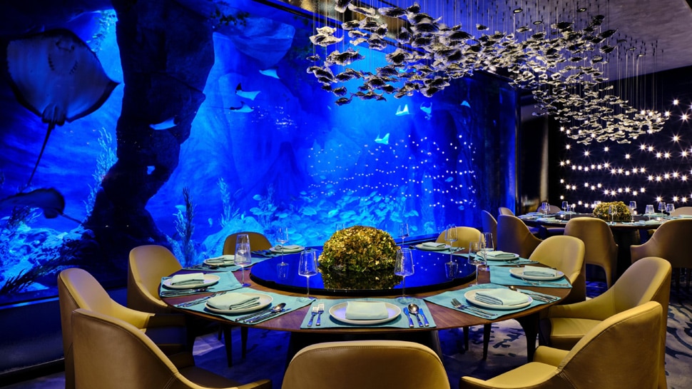 इस होटल में हैं 383 कमरे Intercontinental Shanghai Wonderland has 383 rooms