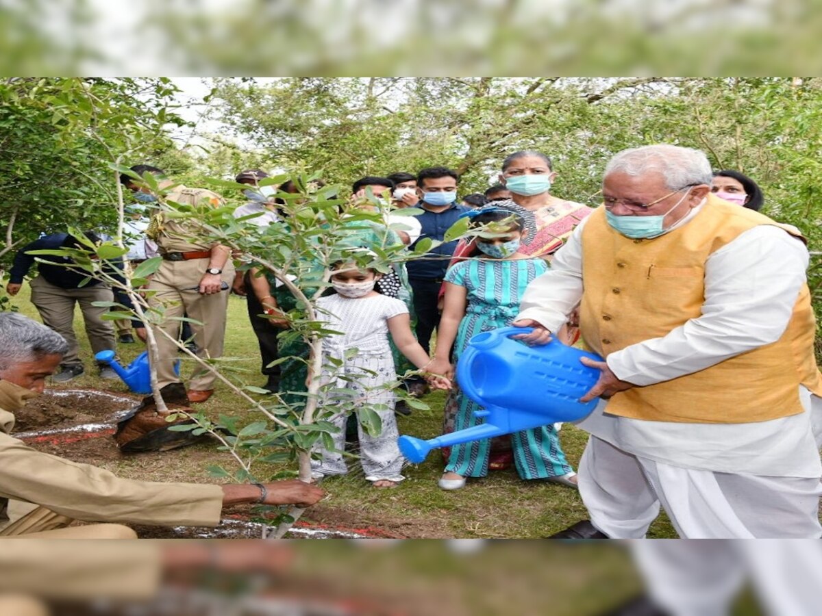 राज्यपाल कलराज मिश्र ने राजभवन में किया पौधारोपण.