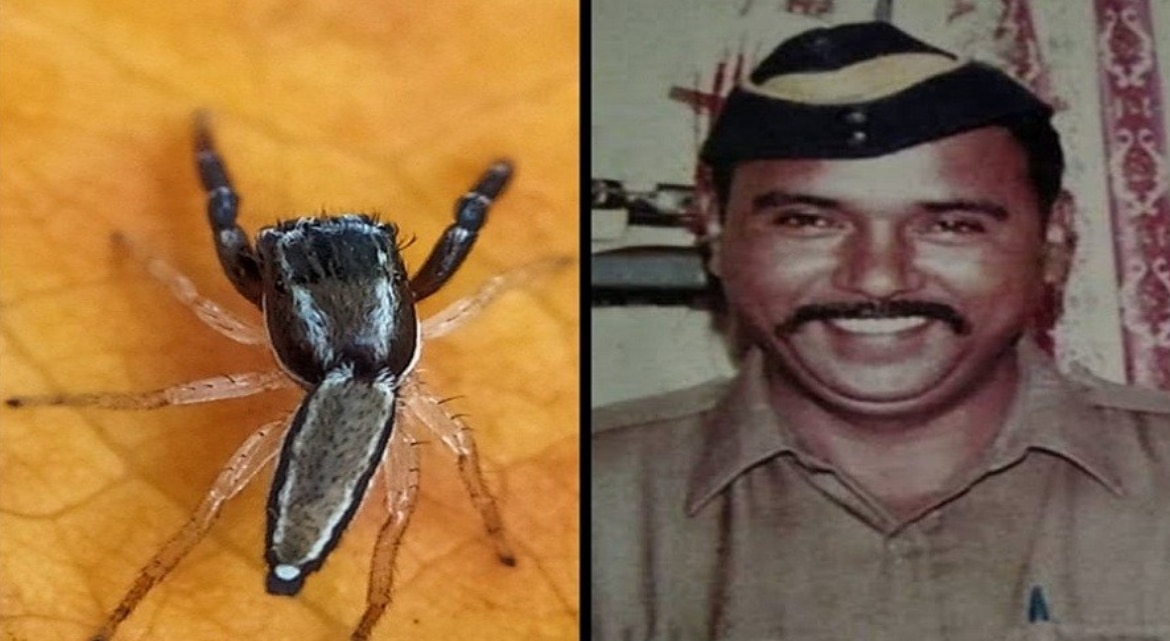 26/11 के शहीद तुकाराम ओंबले को मिला अनोखा सम्मान, उनके नाम से जानी जाएगी मकड़ी की नई प्रजाति