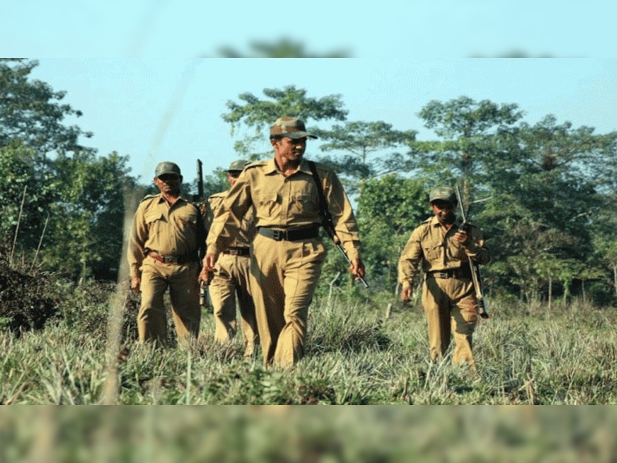 इस राज्य में फॉरेस्ट गार्ड के पदों पर होगी बंपर भर्ती, जुलाई  से भरे जाएंगे फॉर्म