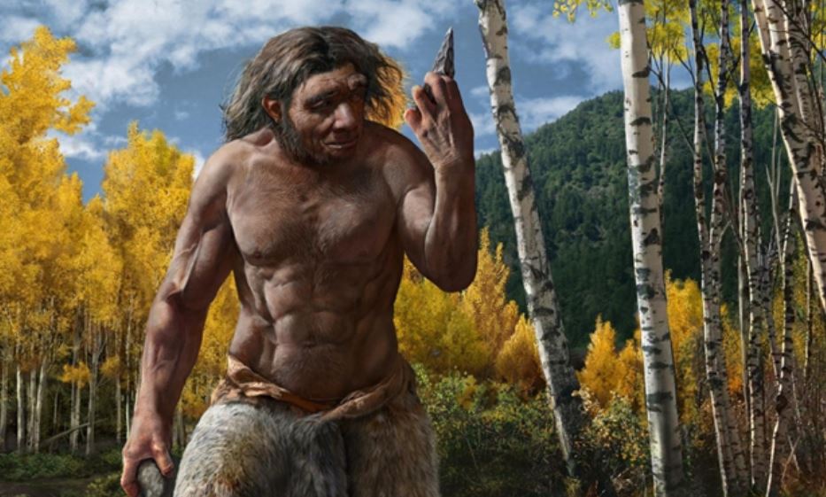 China claim Dragon Man skull discovery, closest relative in the human family | चीन के वैज्ञानिकों ने किया 'Dragon Man' खोजने का दावा, लाखों साल पुरानी Skull मिली - Vimarsana News