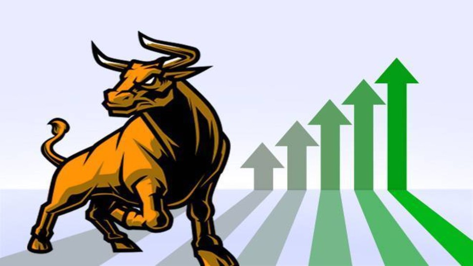 High Return Stocks: These 5 shares gave bumper return to their investors, 50,000 become 80.65 lakh | Bumper Return Stocks: ये हैं छप्परफाड़ कमाई कराने वाले 5 शेयर, 50,000 बन गए 80.81 लाख रुपये! - Vimarsana News