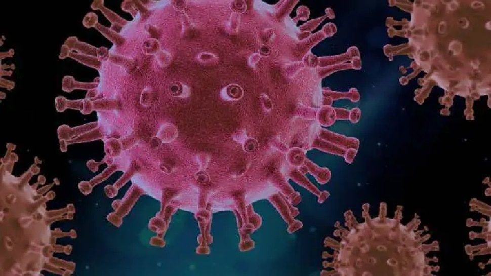 20,000 साल पहले East Asia में हुआ था Coronavirus का Outbreak, स्‍टडी में हुए अहम खुलासे