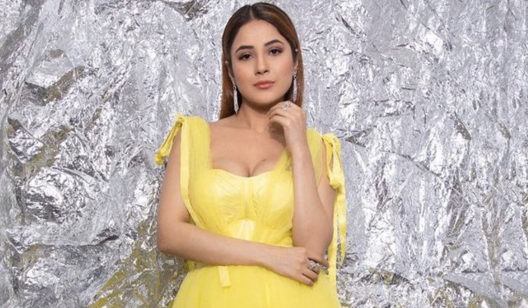 पहली बार डब्बू रतनानी के कैलेंडर में दिखाई देंगी शाहनाज गिल, सामने आया BTS वीडियो