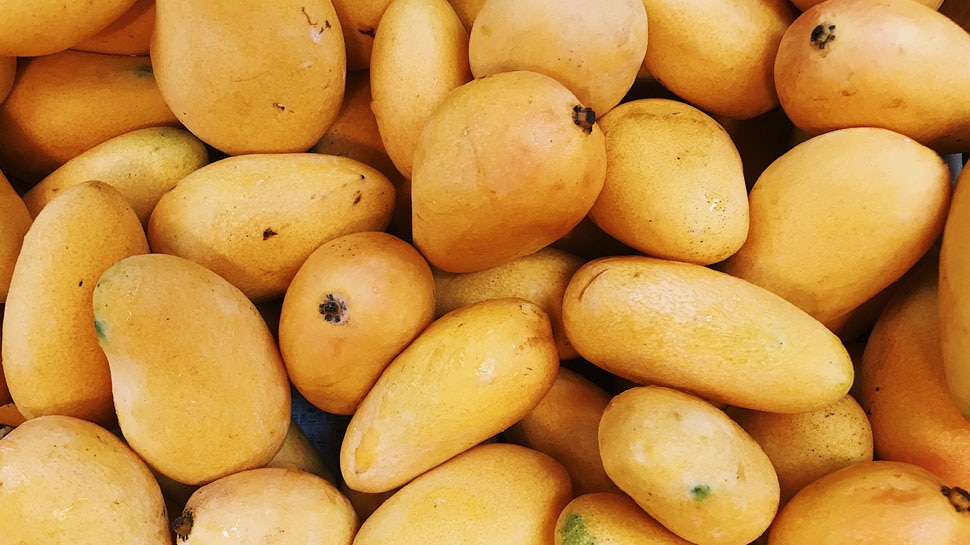 Sugar free mango varieties developed in Pakistan Diabetes के रोगी भी