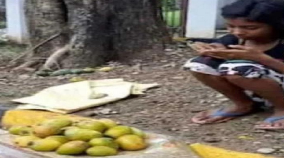 Jamshedpur 5th Class Girl Sold 12 Mangoes For 1 2 Lakh Jamshedpur